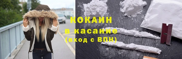 крисы Алексин