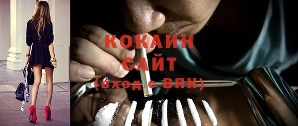 крисы Алексин