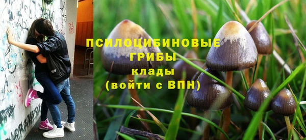 mix Алексеевка