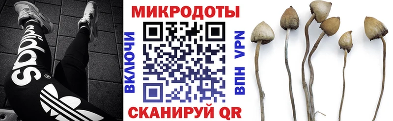 где можно купить Уфа мега tor Галлюциногенные грибы Cubensis